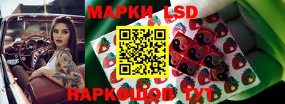 ешки Новокубанск
