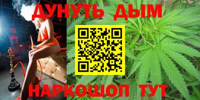 a pvp Новозыбков