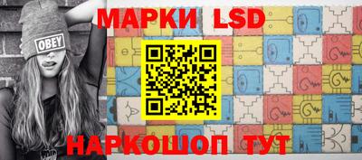 a pvp Новозыбков