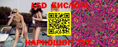 ешки Новокубанск