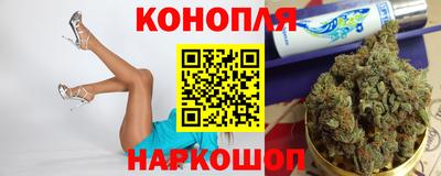 a pvp Новозыбков