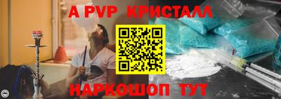a pvp Новозыбков
