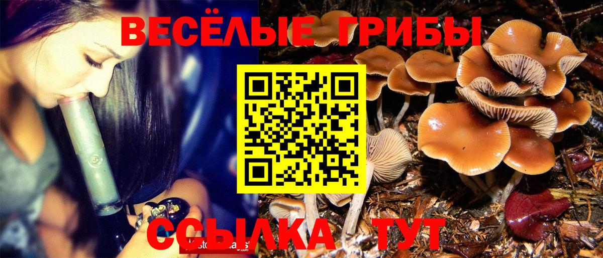 Псилоцибиновые грибы ЛСД  Вход с VPN  Галлюциногенные грибы MAGIC MUSHROOMS  купить   Тверь 