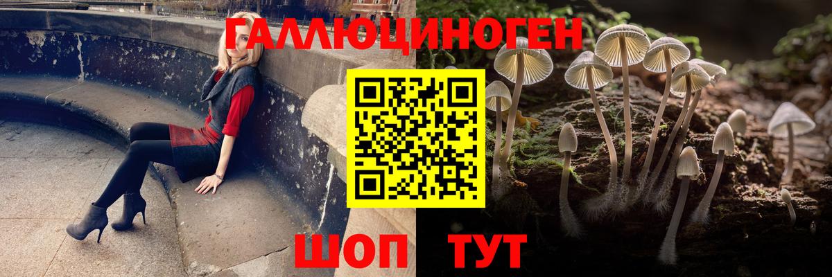 Псилоцибиновые грибы GOLDEN TEACHER Тверь
